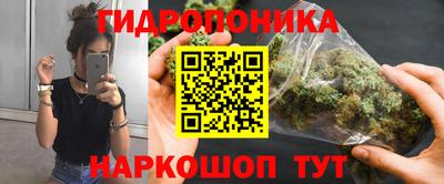 шишки Краснознаменск
